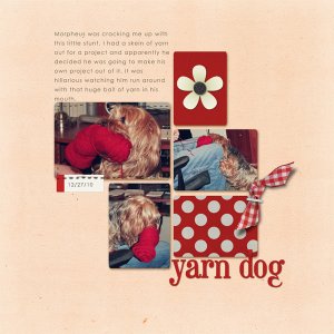087-05-11-YarnDog