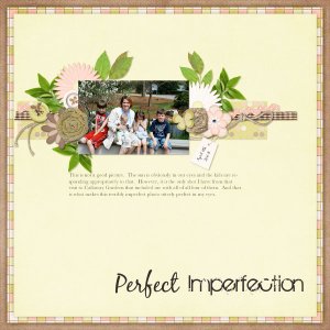 Perfect Imperfection