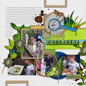 Bug Collector