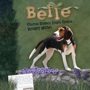 Belle, Come Down from There Right NOW!