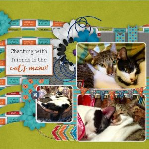 Social Creatures