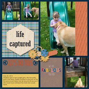 Life Captured
