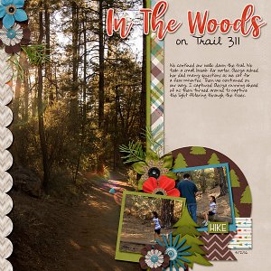 In The Woods on Trail 311