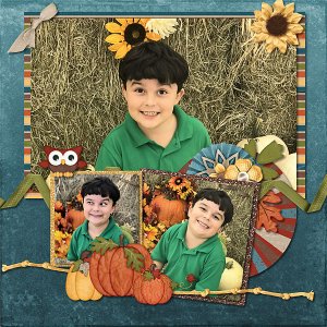 pumpkin patch 02