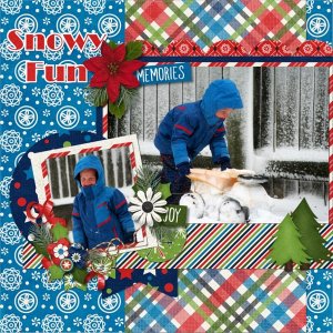Snowy Fun