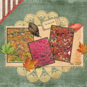 The Colors of Fall