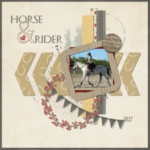 2017_11 Template Challenge 1 _Horse + Rider