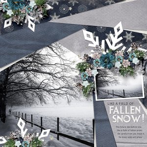 A FIELD OF FALLEN SNOW