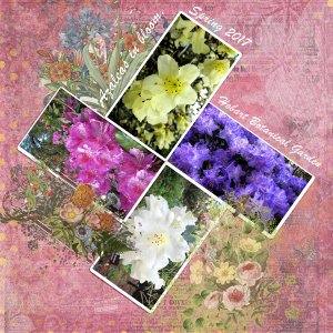 sandie03-emc Botanical 1