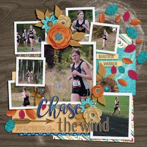~Chase the Wind~