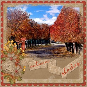 Autumn Shades