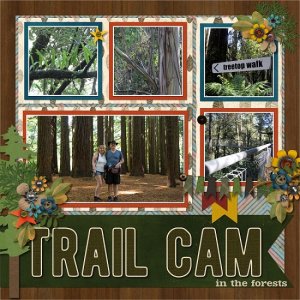 trail_cam