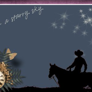 under a starry sky
