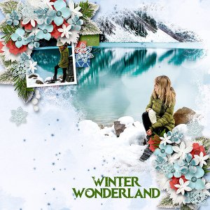 The Beauty of Winter
