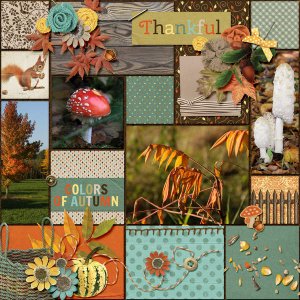 Autumn colors