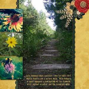 Nature Walk
