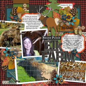 2013 Rosse Posse Elk Farm 1