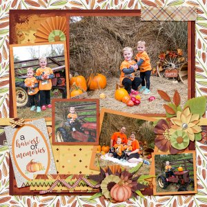 Harvest Memories