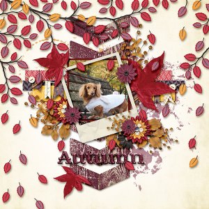 Autumn