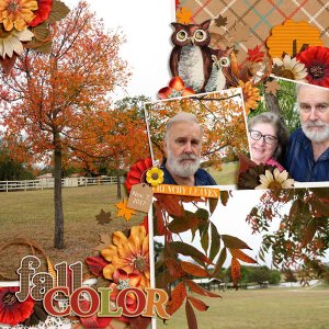 Fall Color