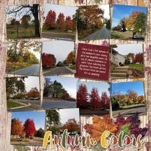 Autumn Color