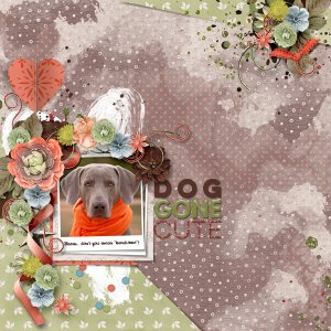 Dog Gone Cute
