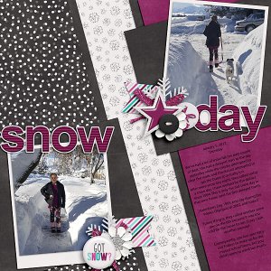 Snow Day