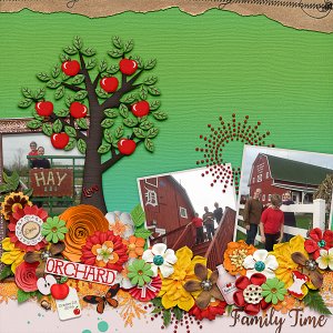 Family Time at the Apple Orchard