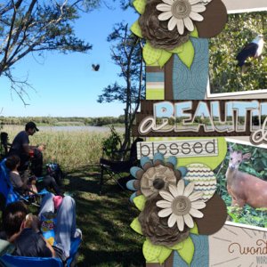Final picnic