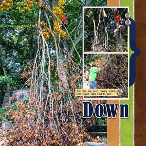 November 2017 Inspiration Challenge