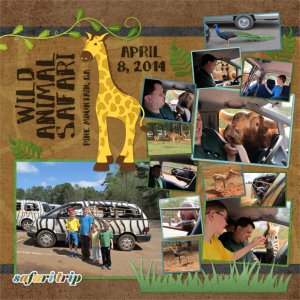 Safari
