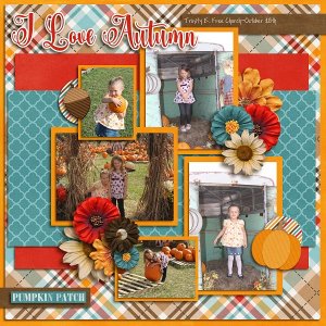 Perfect Pumpkin Patch