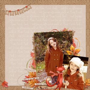 autumn walks in the woods