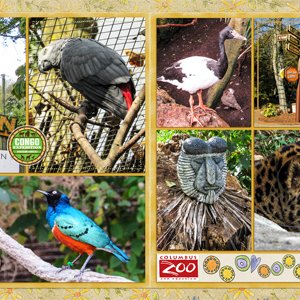 Columbus Zoo - Congo African Forest
