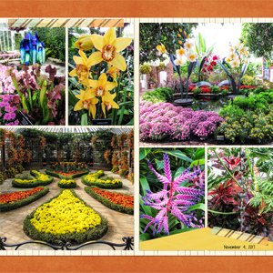 Phipps Conservatory Autumn Flower Show 2017