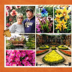 Phipps Conservatory Autumn Flower Show 2017, left
