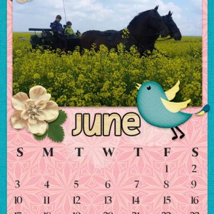 June calendar