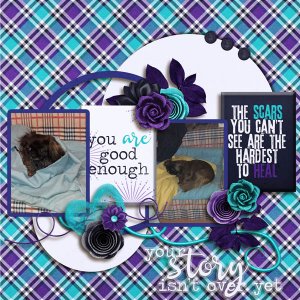 Your story