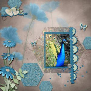 Peacock