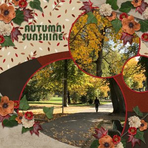 Autumn Sunshine