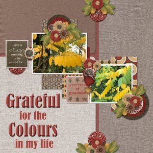 Grateful for the Colours