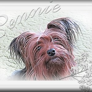 Pennie