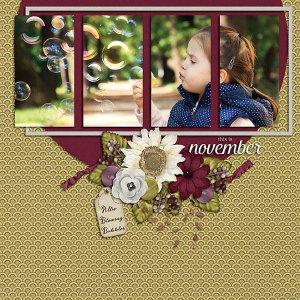 November Life 2017