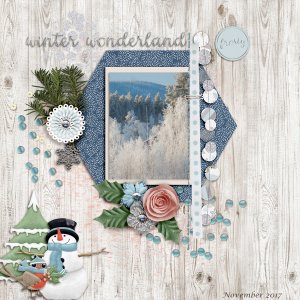 Winter-wonderland13