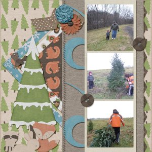 Getting Our Tree