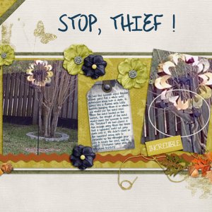 Stop, Thief!
