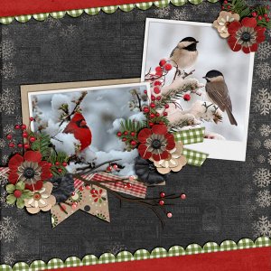 Snow-Birds
