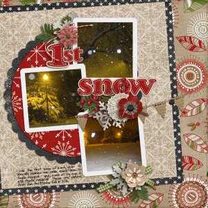 cap_memorylanetemps--snow-birds