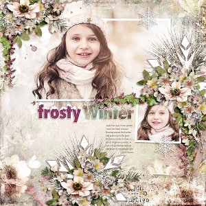Frosty Winter