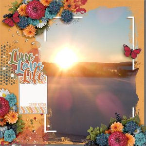 Live-love-life